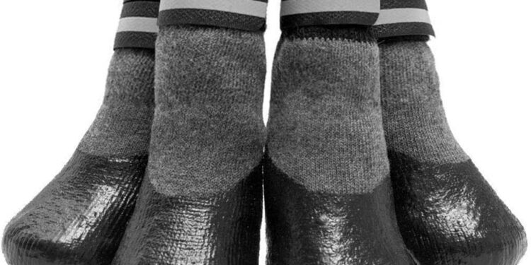 Comment faire un jouet pour chien avec des chaussettes ?