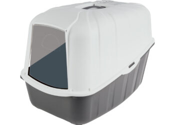 Comment faire un long trajet en voiture avec un chat ?