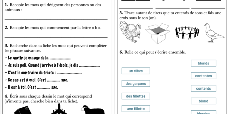 Comment faire un long voyage en train avec un chat ?