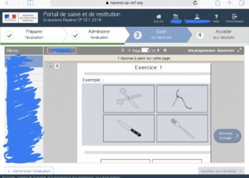 Comment faire un long voyage en train avec un chat ?