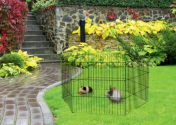 Comment faire un parc à cochon ?