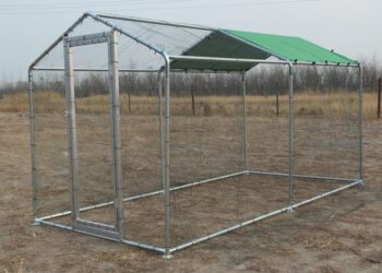 Comment faire un petit poulailler pour 2 poules ?