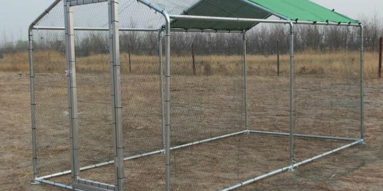 Comment faire un petit poulailler pour 2 poules ?