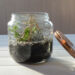 Comment faire un petit terrarium ?