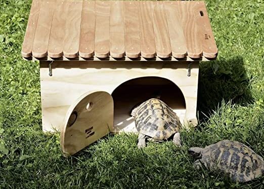 Comment faire un point d'eau pour tortue terrestre ?