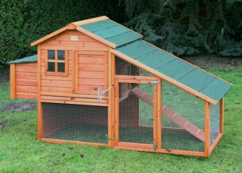 Comment faire un poulailler facile et pas cher ?
