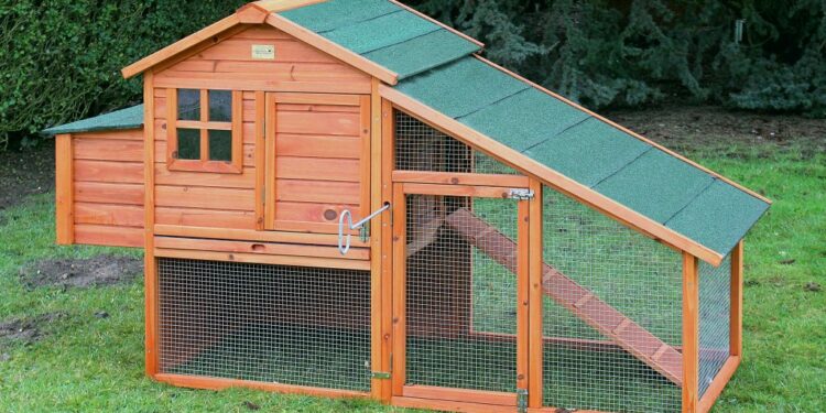 Comment faire un poulailler facile et pas cher ?