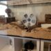 Comment faire un terrarium fait maison ?