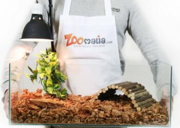 Comment faire une cachette pour tortue ?