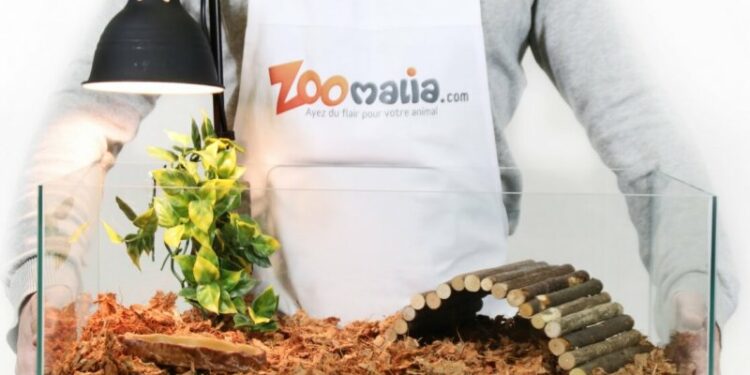 Comment faire une cachette pour tortue ?