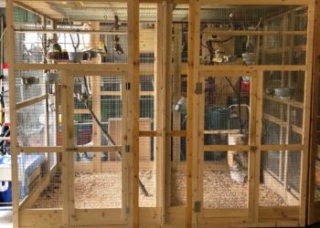 Comment faire une cage à écureuil ?