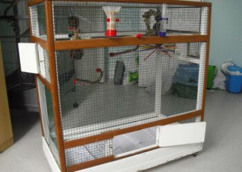 Comment faire une cage à oiseau en fil de fer ?