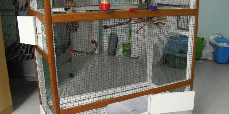 Comment faire une cage à oiseau en fil de fer ?