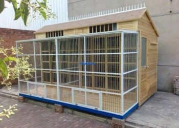 Comment faire une cage à oiseau facile ?