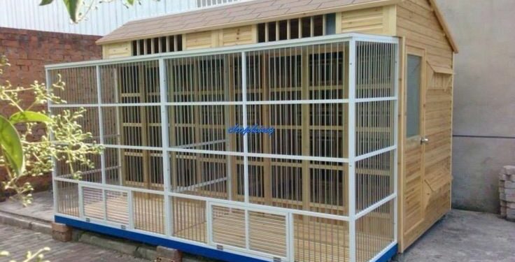 Comment faire une cage à oiseau facile ?