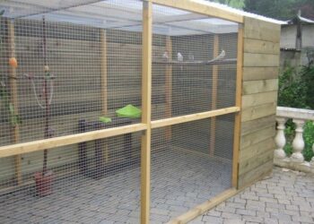 Comment faire une cage à oiseau facile ?