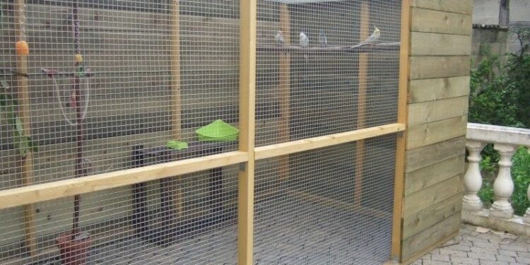 Comment faire une cage à oiseau facile ?