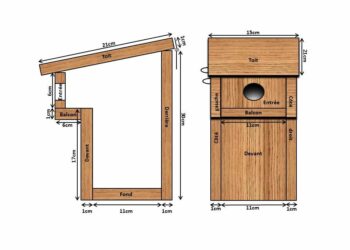 Comment faire une cage à oiseau facile ?