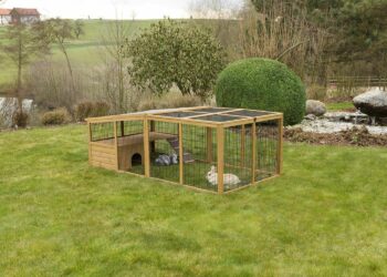 Comment faire une chatterie extérieure ?