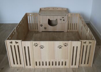 Comment faire une chatterie extérieure ?