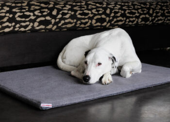 Comment faire une couche avec une serviette ?