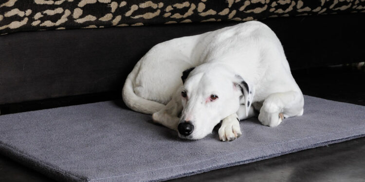 Comment faire une couche avec une serviette ?