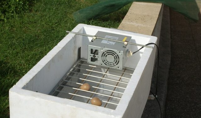 Comment faire une couveuse dans un frigo ?