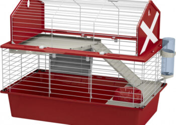 Comment faire une litière pour cochon d'Inde ?