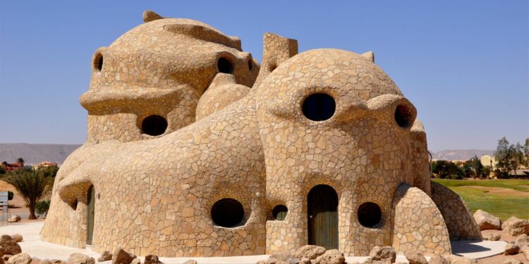 Comment faire une maison pour tortue terrestre ?