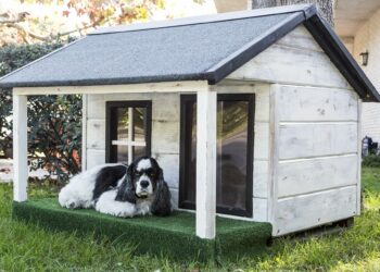 Comment faire une niche isolée ?