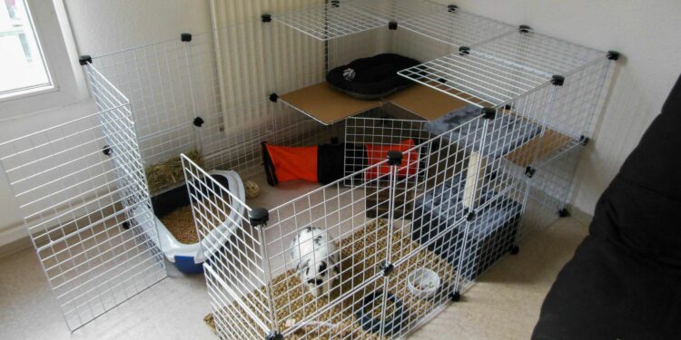 Comment faire une petite cabane pour lapin ?