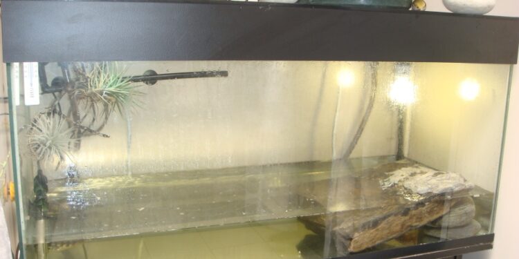 Comment faire une plage pour ma tortue ?