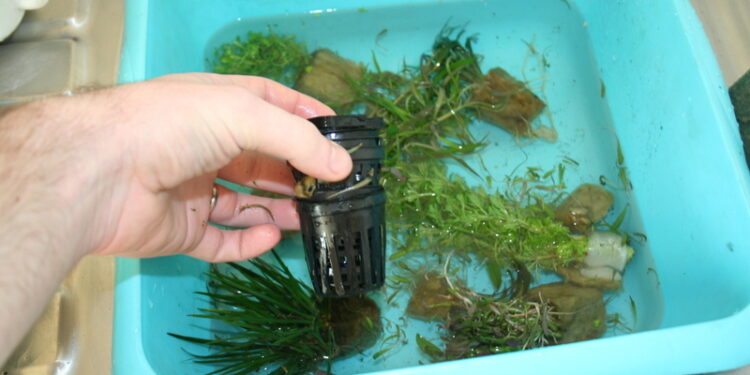 Comment faire une plage pour ma tortue ?