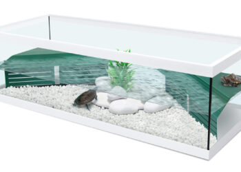 Comment faire une plage pour ma tortue ?