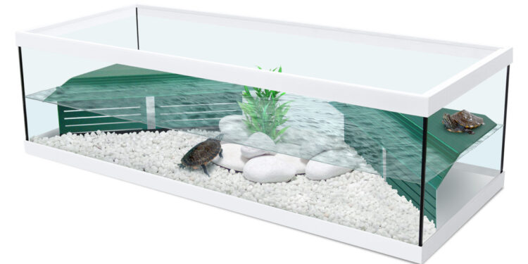 Comment faire une plage pour ma tortue ?