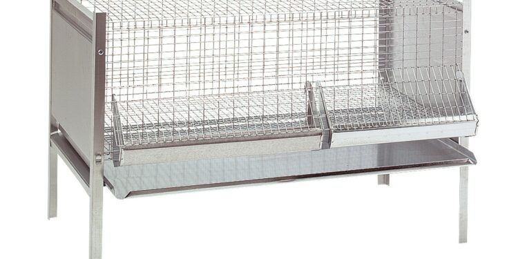 Comment faire une poussinière ?