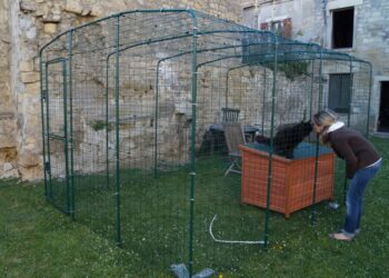 Comment faire une volière intérieure ?