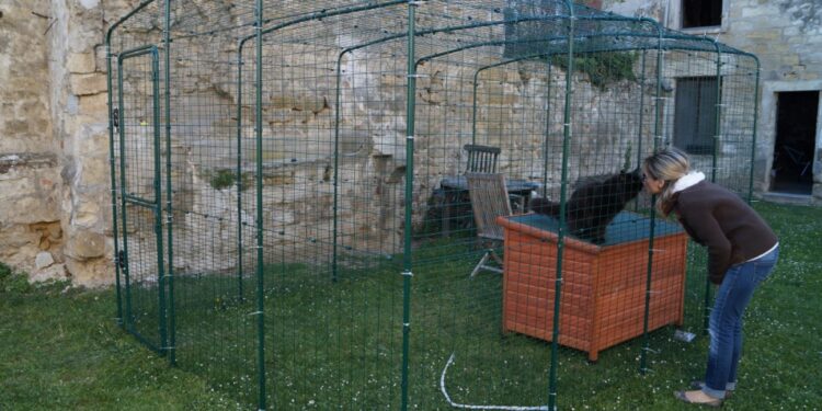 Comment faire une volière intérieure ?