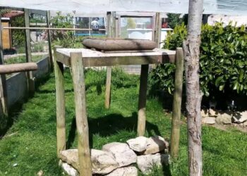 Comment faire une volière pas cher ?