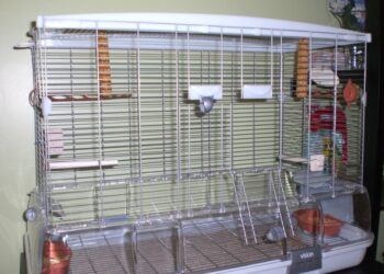 Comment faire une volière pas cher ?