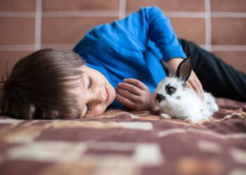 Comment faire vivre son lapin en liberté ?