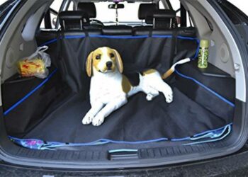 Comment faire voyager un animal seul ?