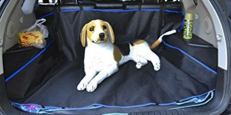 Comment faire voyager un animal seul ?