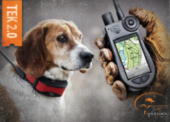 Comment fonctionne un collier GPS ?