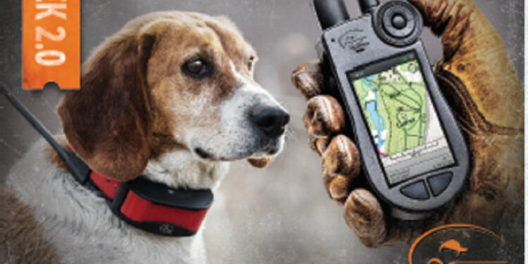 Comment fonctionne un collier GPS ?