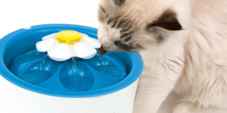 Comment fonctionne une fontaine sans pompe ?