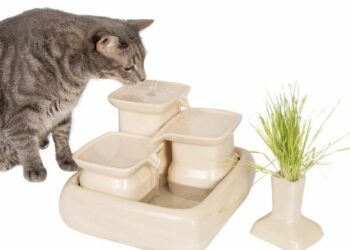 Comment fonctionne une fontaine sans pompe ?