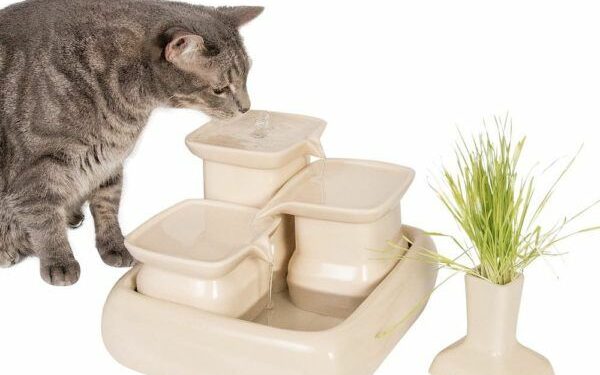 Comment fonctionne une fontaine sans pompe ?