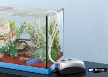 Comment fonctionne une pompe à eau d'aquarium ?