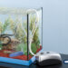 Comment fonctionne une pompe à eau d'aquarium ?